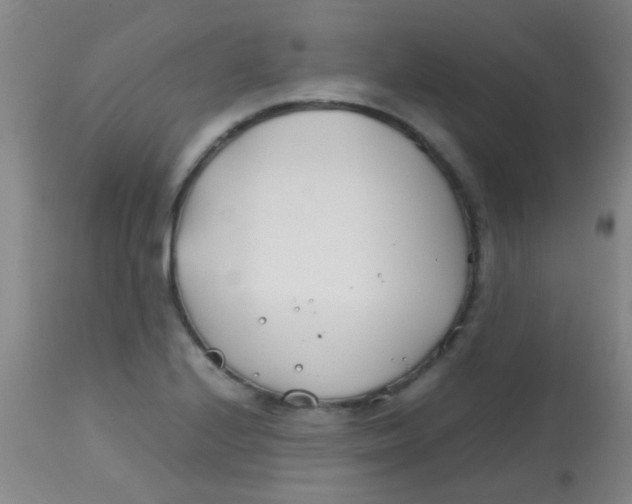 X0000113871224200910151252