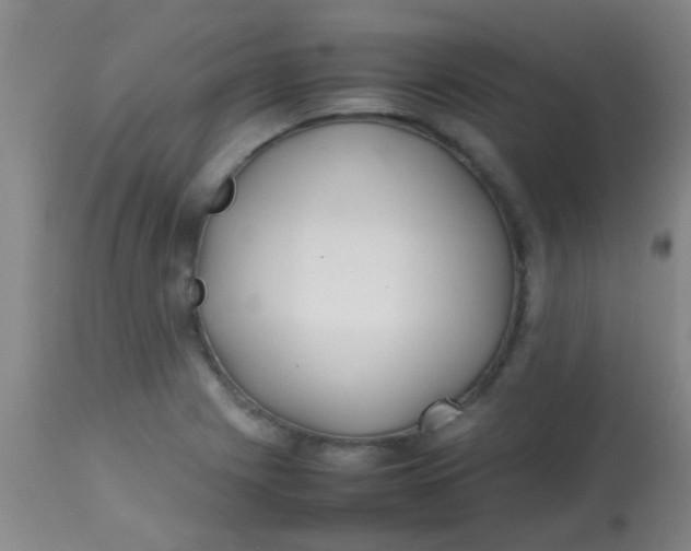 X0000113871225200910151252