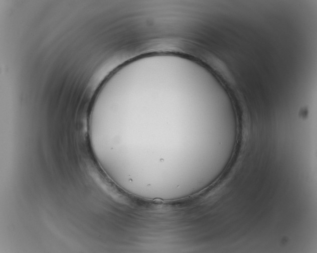 X0000113871226200910151252