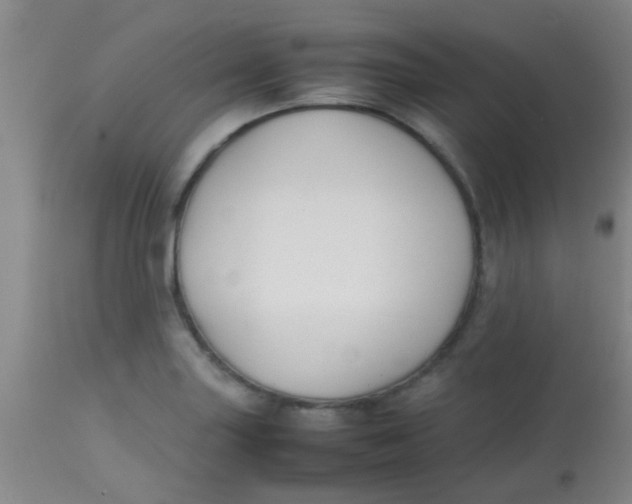 X0000113871227200910151252