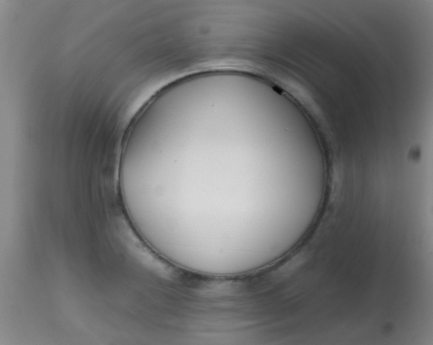 X0000113871228200910151252