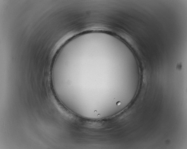 X0000113871229200910151252