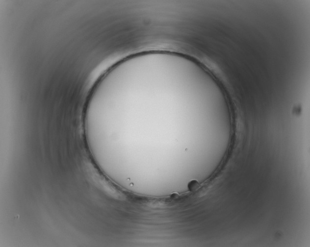 X0000113871230200910151252