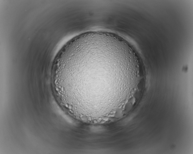 X0000113871231200910151252