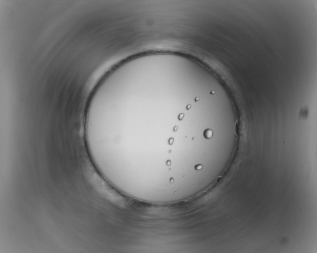 X0000113871232200910151252