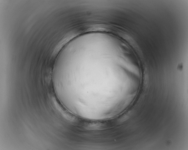 X0000113871233200910151252