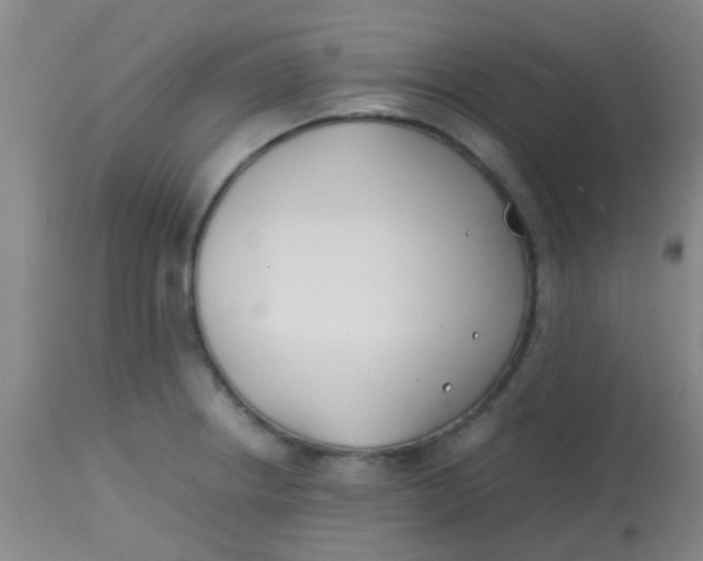 X0000113871234200910151252