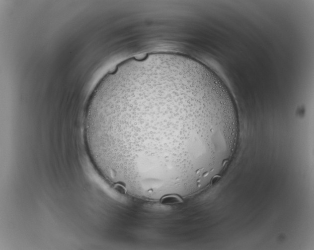 X0000113871235200910151252