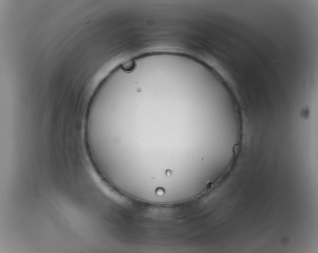 X0000113871237200910151253