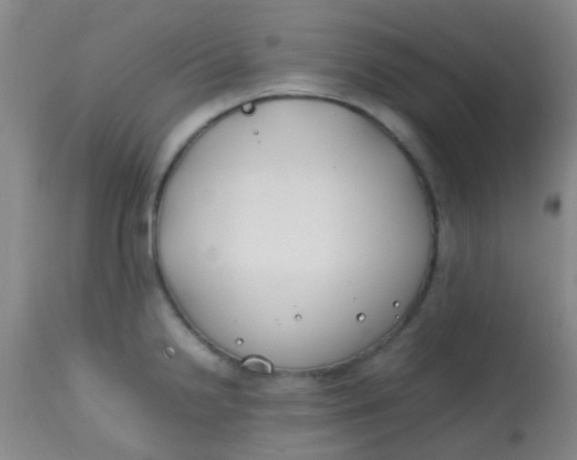 X0000113871238200910151253