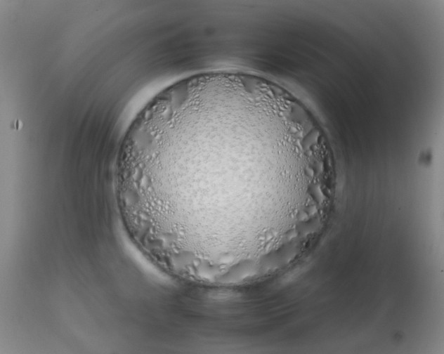 X0000113871239200910151253