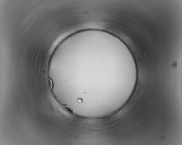 X0000113871240200910151253