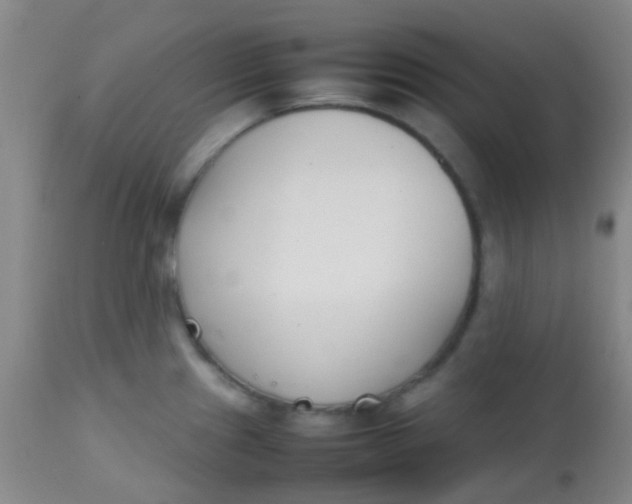 X0000113871241200910151253