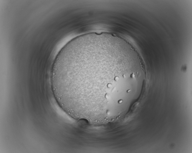 X0000113871243200910151253