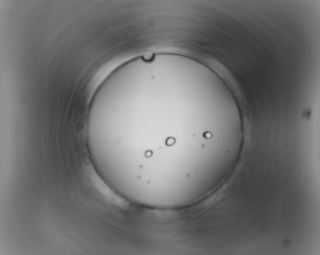 X0000113871244200910151253