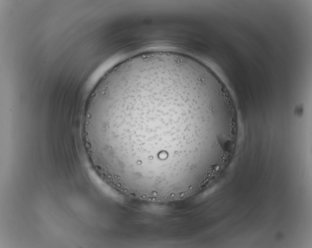 X0000113871245200910151253