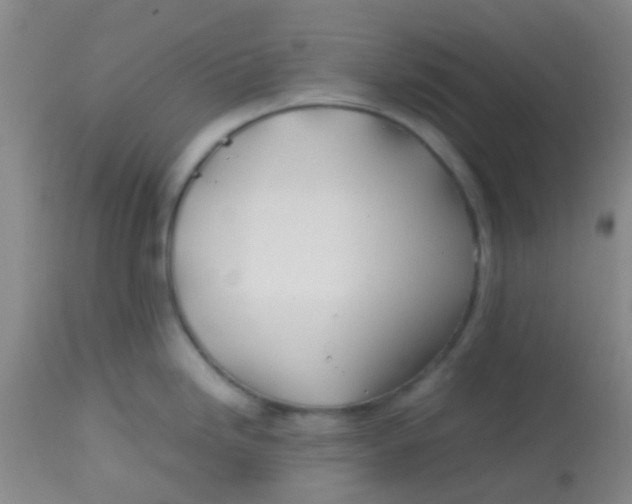 X0000113871246200910151253