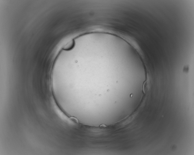 X0000113871247200910151253