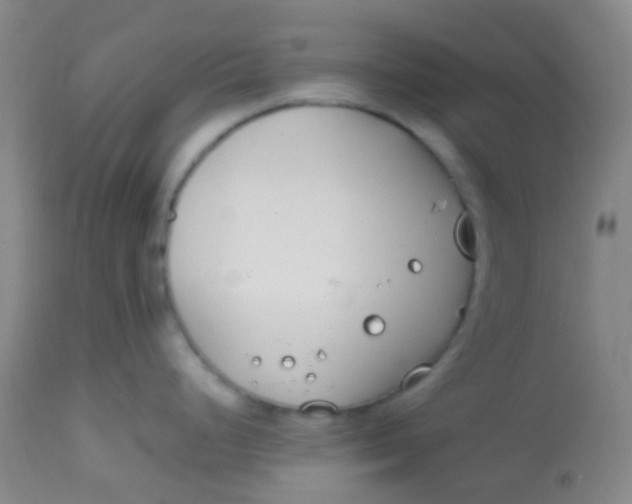 X0000113871248200910151253