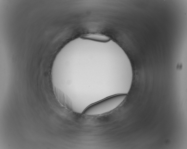 X0000113871249200910151252