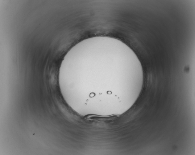 X0000113871250200910151252