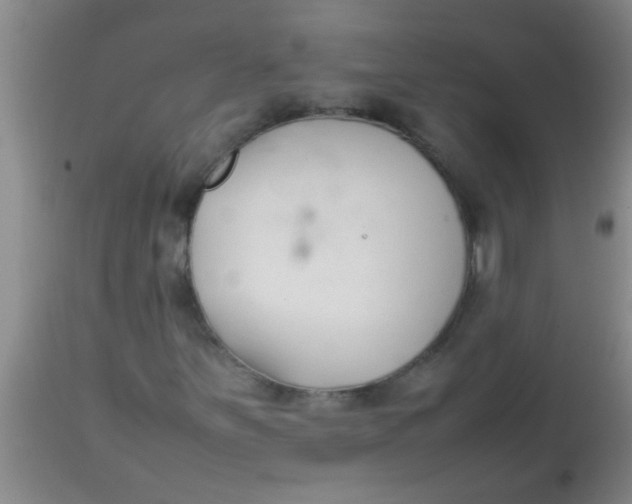 X0000113871251200910151252