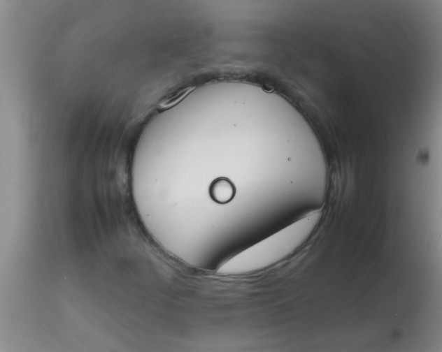 X0000113871252200910151252