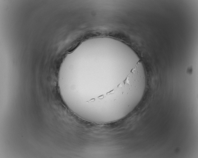 X0000113871253200910151252