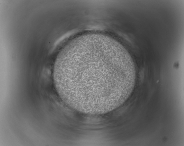 X0000113871254200910151252