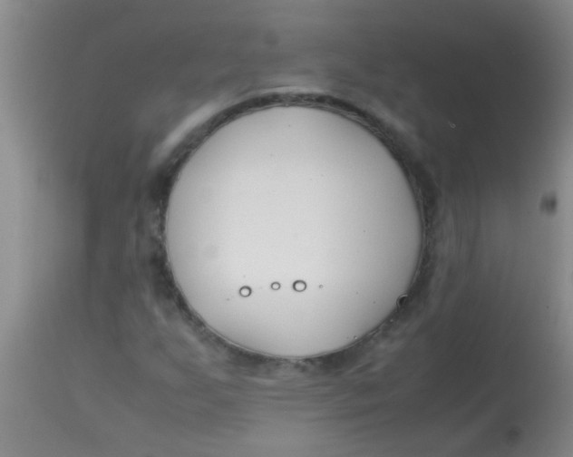 X0000113871255200910151252