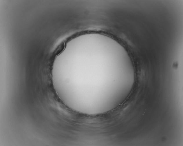 X0000113871256200910151252