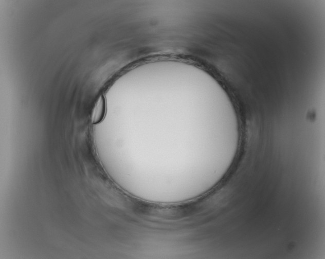 X0000113871257200910151252