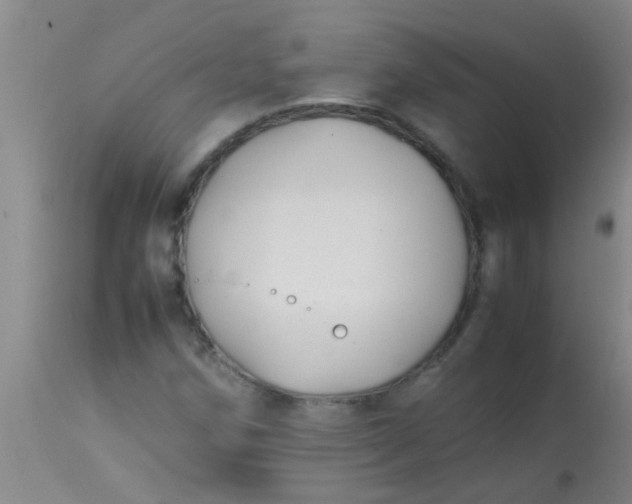 X0000113871258200910151252