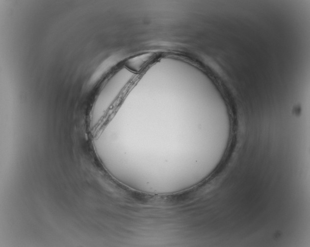 X0000113871259200910151252