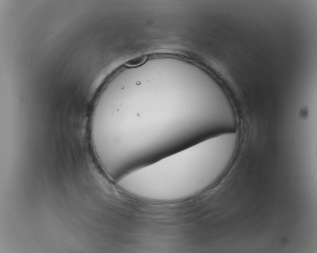 X0000113871260200910151252