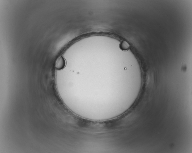 X0000113871261200910151252