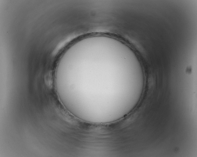 X0000113871262200910151252