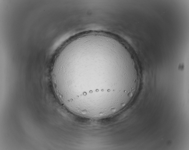 X0000113871263200910151252