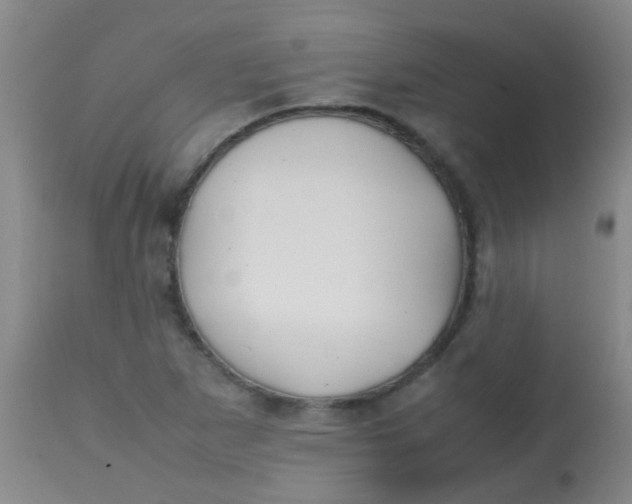 X0000113871265200910151252