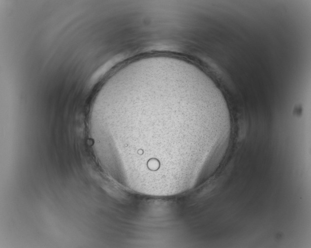 X0000113871266200910151252