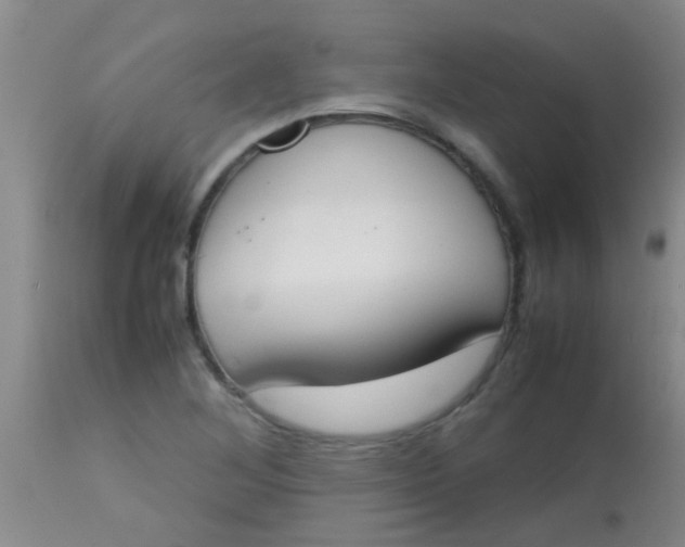 X0000113871268200910151252