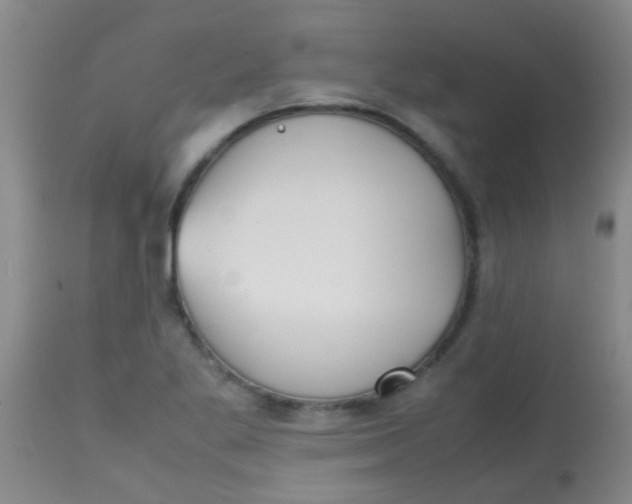 X0000113871269200910151252