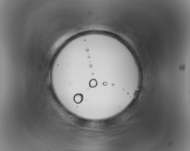 X0000113871271200910151252