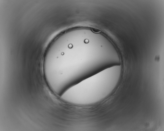 X0000113871272200910151252