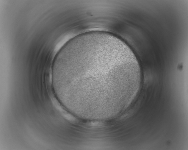 X0000113871274200910151252