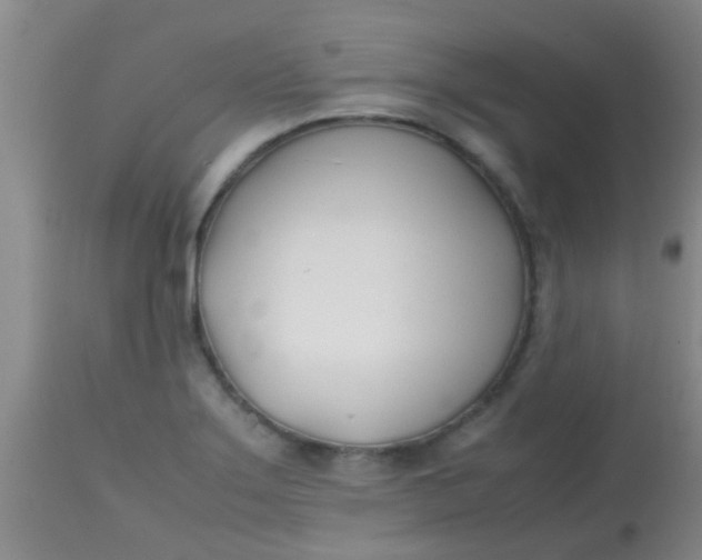 X0000113871275200910151251