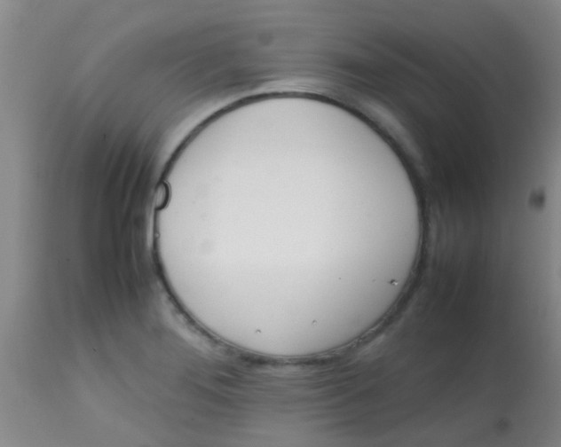 X0000113871276200910151251