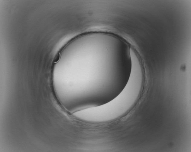 X0000113871277200910151251