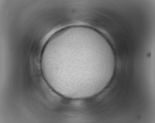 X0000113871278200910151251