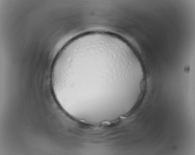 X0000113871279200910151251